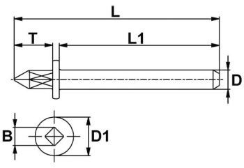 VOGT1364_DRW.jpg